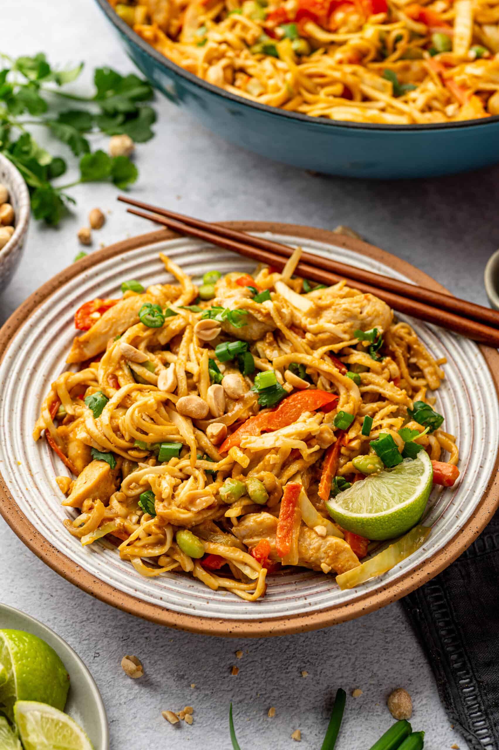Chicken Satay Noodles with Peanut Sauce