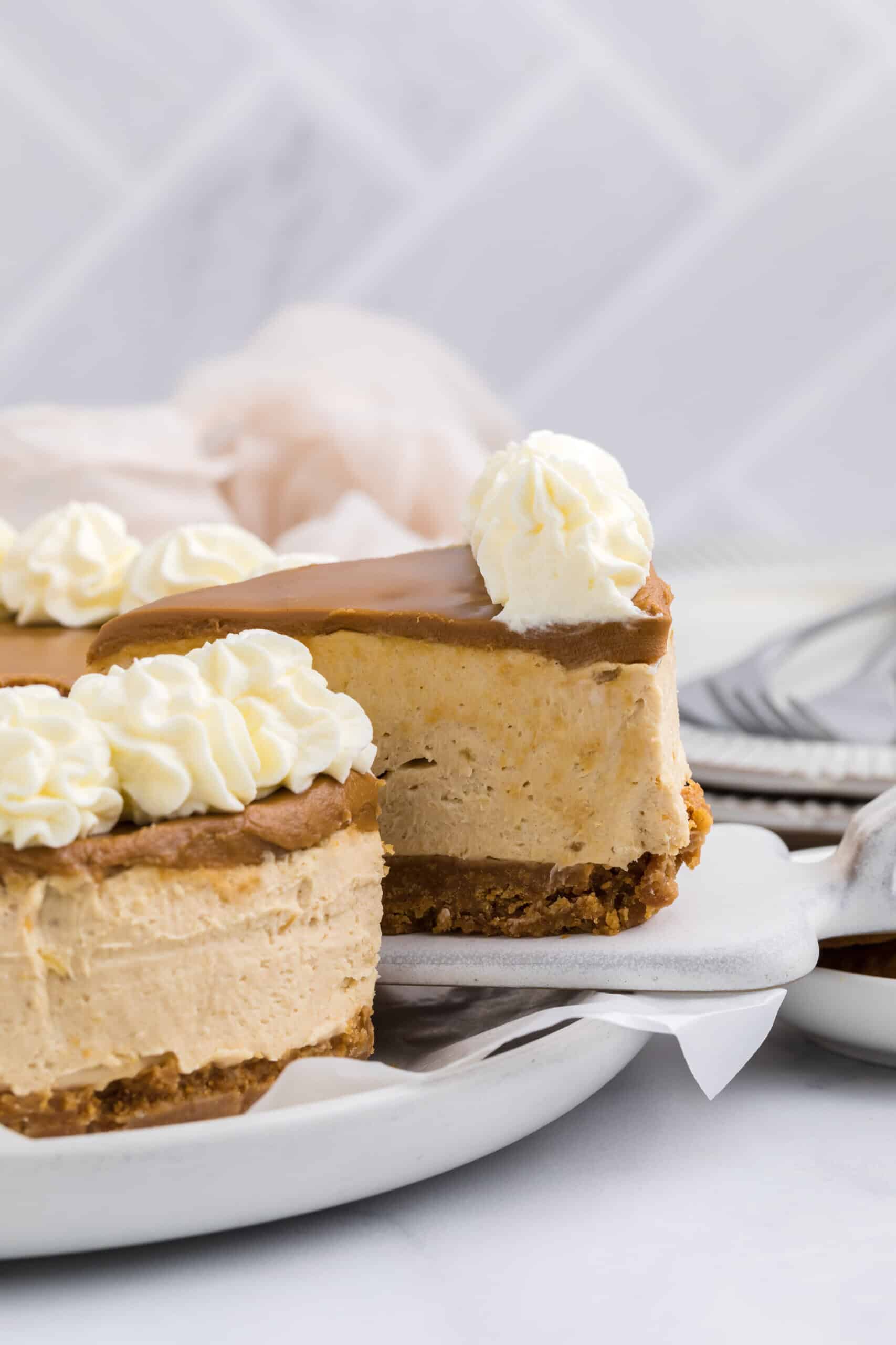 Easy No Bake Biscoff Cheesecake
